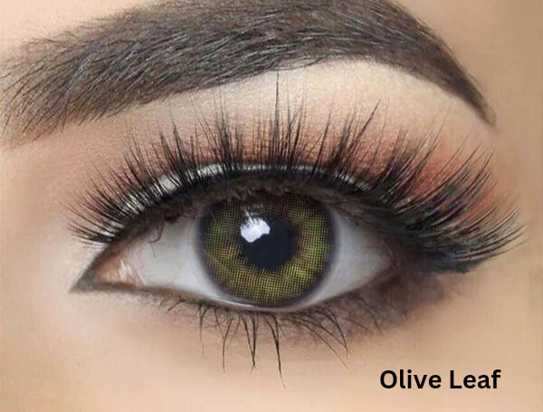 Buy 1 Get 1 Offer Just in 4000 Rupees